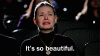 giphy-1.gif
