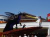 Dsc04251.jpg