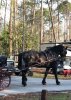 IMG9500891~3.jpg