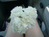 Dsc04557.jpg