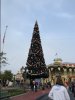 IMG_2404JPG.jpg