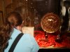 Dsc04689.jpg