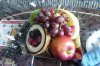 2016 platinum fruit bowl 2417 P1090688 1500.jpg