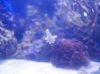 Dsc04998.jpg