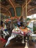 carousel.JPG