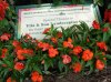 Dsc05402.jpg