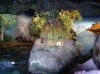 Dsc05491.jpg