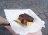Dsc05520.jpg