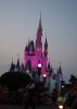 Dsc05585.jpg