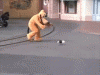 giphy-downsized (1).gif