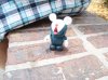 Dsc08657.jpg