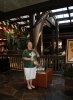 Dsc08784.jpg