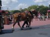 Dsc08839.jpg