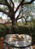 Dsc08846.jpg