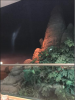 upload_2018-3-2_8-50-25.png