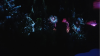 upload_2018-3-4_11-12-3.png