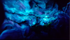 upload_2018-3-4_11-14-35.png