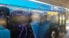 20180303_081249.jpg