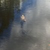 C3278F0F-BCE6-4044-8056-AE66C8111D98.jpeg