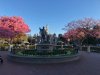 IMG_0135.jpg