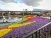DSCN8941.jpg
