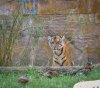 DSCN9180.jpg