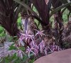 DSCN9127.jpg