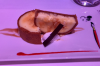 upload_2018-3-6_13-14-11.png