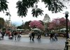 rsz_20180302_221242.jpg