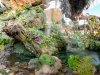 DSCN8595.jpg