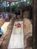 Maddie on Slide.jpg