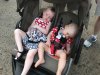 IMG_3799 (800x600).jpg