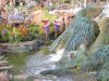 DSCN8583.jpg
