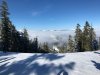 IMG_2850.jpg