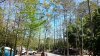 20180315_134854.jpg