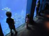 IMG_0335.JPG