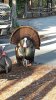 20180316_091416.jpeg