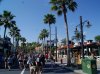 Dsc08919.jpg