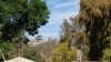 20180319_112601-1008x567.jpg