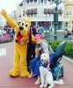 IMG_20180320_130531_086.jpg