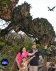 AK_PANDORAFLOATMTNICON_20180312_410198983438(small).jpg
