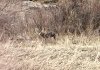 40695E41-B231-4B6C-B362-6BFAEBAF395A.jpeg