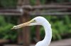 3FD04B95-869F-48A1-B137-EF5EADDEC7BD.jpeg
