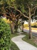 sidewalk.jpg