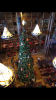A45A659C-D5DA-445C-91FF-80685E9A9574.png