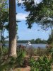 08477C70-F59D-4CE1-BD76-5DB4E84BC317.jpeg