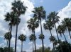 Dsc08989.jpg