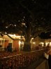 Dsc09172.jpg