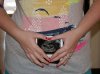 Dsc00579.jpg