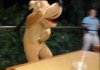 IMG_20180331_163536.jpg